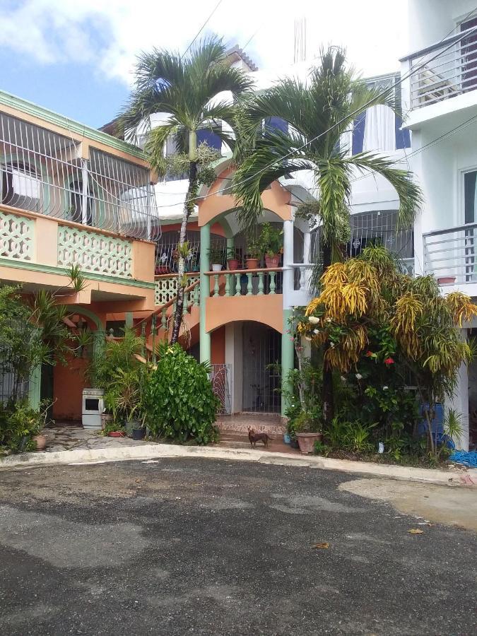 Room In Guest Room - Best Bed And Breakfast In Samana Breakfast Included Exteriör bild
