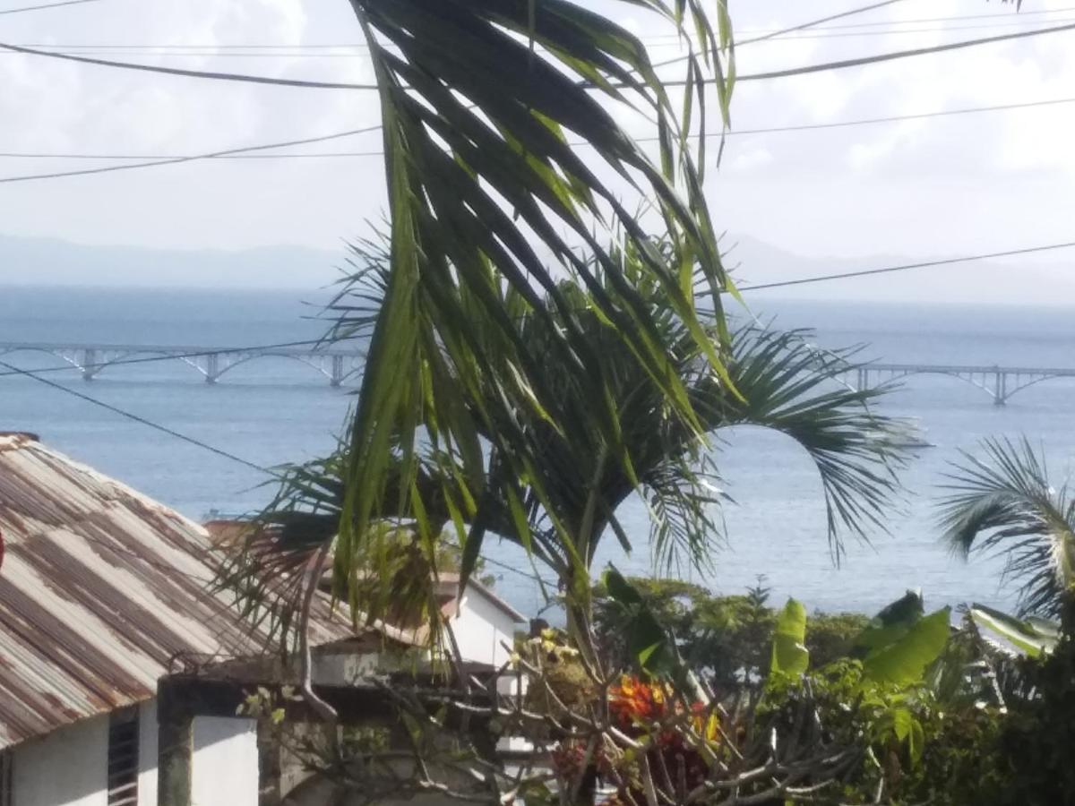 Room In Guest Room - Best Bed And Breakfast In Samana Breakfast Included Exteriör bild