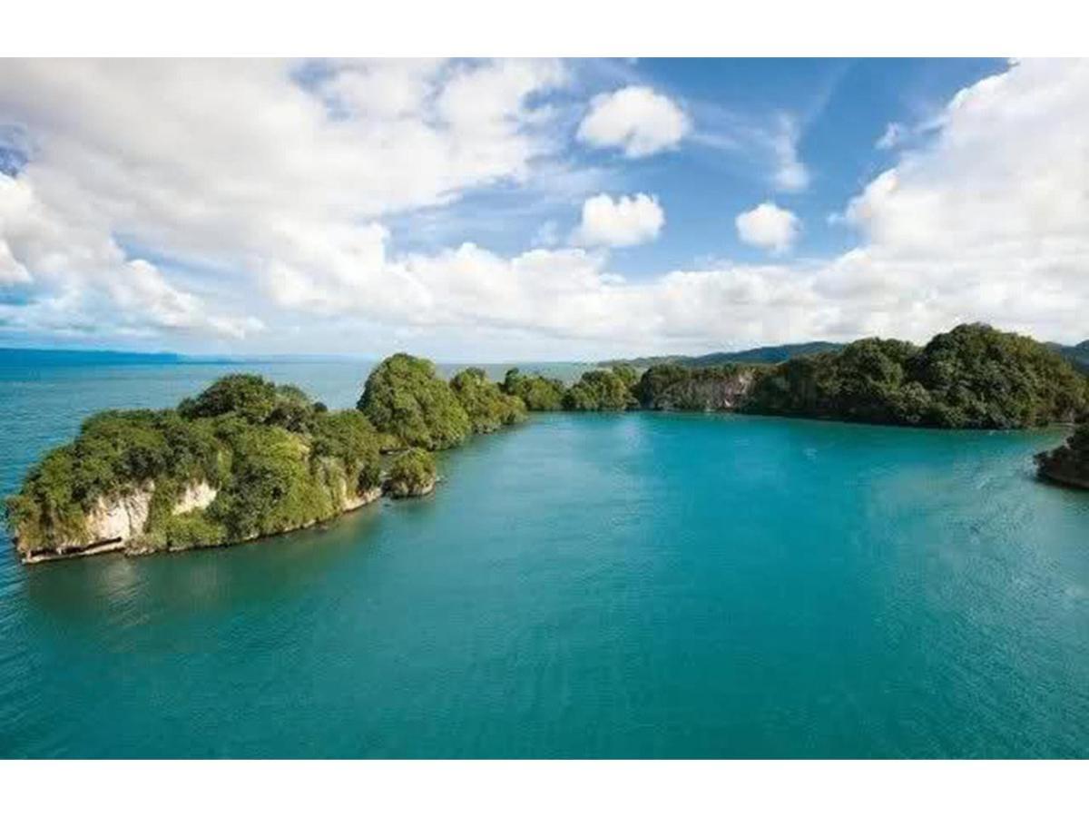 Room In Guest Room - Best Bed And Breakfast In Samana Breakfast Included Exteriör bild