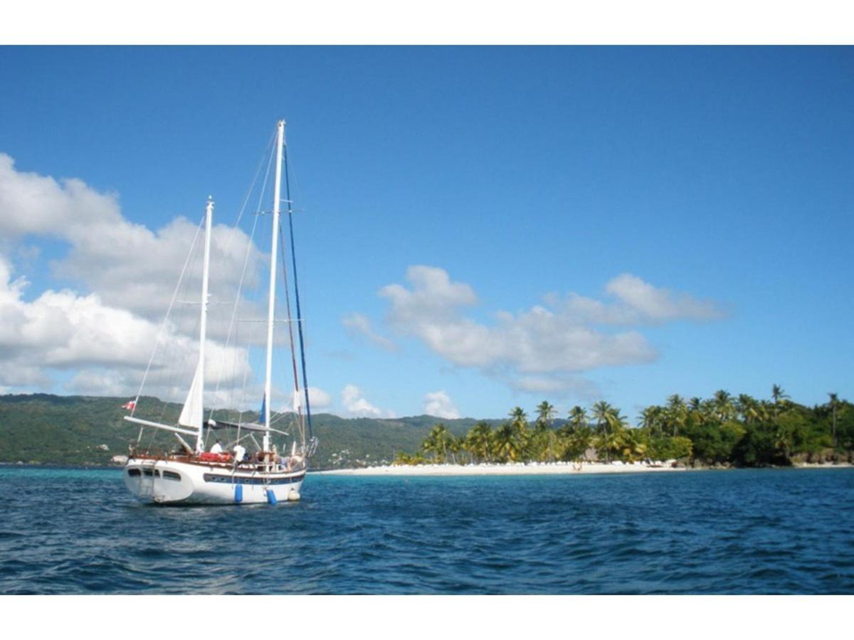 Room In Guest Room - Best Bed And Breakfast In Samana Breakfast Included Exteriör bild